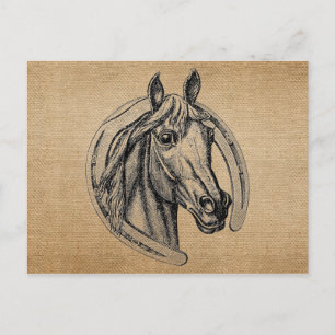 paard briefkaart