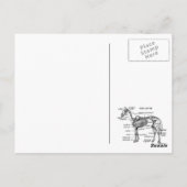 Paard Briefkaart (Achterkant)