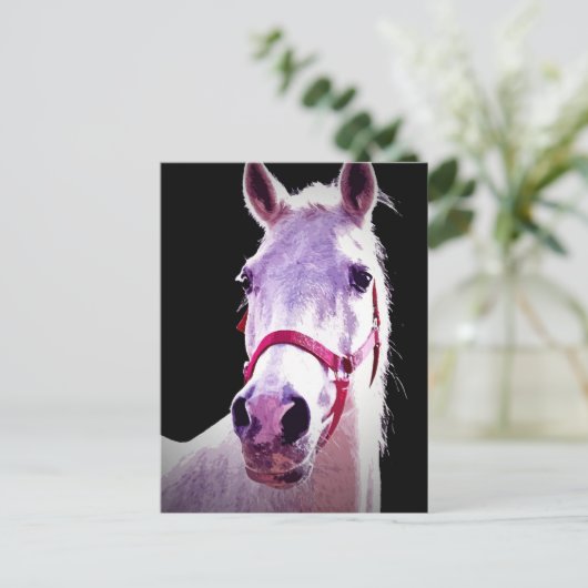 Paard Briefkaart (Staand voorkant)