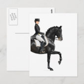 Paard Briefkaart (Voorkant / Achterkant)