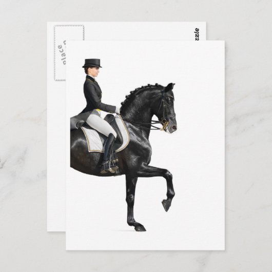 Paard Briefkaart (Voorkant / Achterkant)