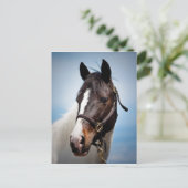 Paard Briefkaart (Staand voorkant)