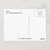 Paard Briefkaart (Achterkant)