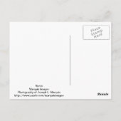 Paard Briefkaart (Achterkant)