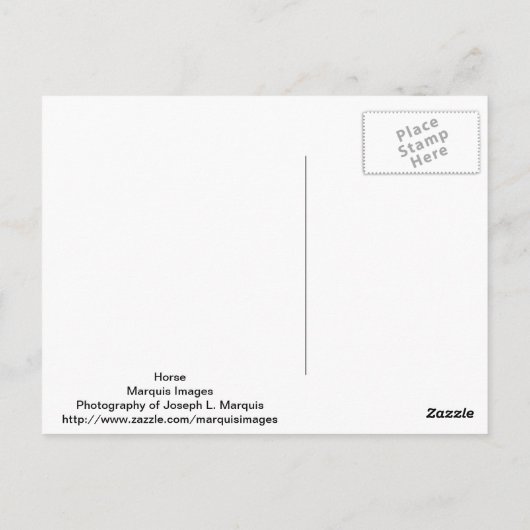 Paard Briefkaart (Achterkant)