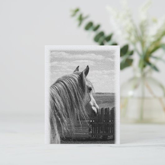 paard briefkaart (Staand voorkant)