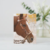 Paard Briefkaart (Staand voorkant)