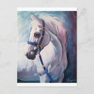 Paard Briefkaart