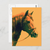 Paard Briefkaart (Voorkant / Achterkant)