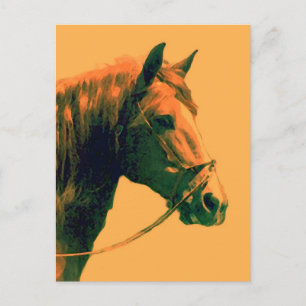 Paard Briefkaart
