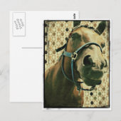 Paard Briefkaart (Voorkant / Achterkant)