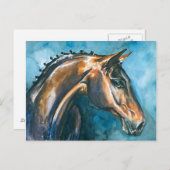 Paard Briefkaart (Voorkant / Achterkant)