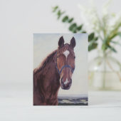 Paard Briefkaart (Staand voorkant)