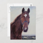 Paard Briefkaart (Voorkant / Achterkant)