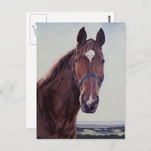 Paard  briefkaart (Voorkant / Achterkant)