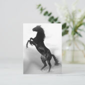 Paard Briefkaart (Staand voorkant)