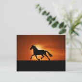 paard briefkaart (Staand voorkant)