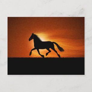 paard briefkaart