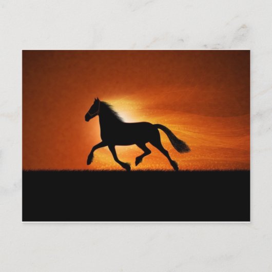 paard briefkaart (Voorkant)