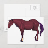 paard briefkaart (Voorkant / Achterkant)