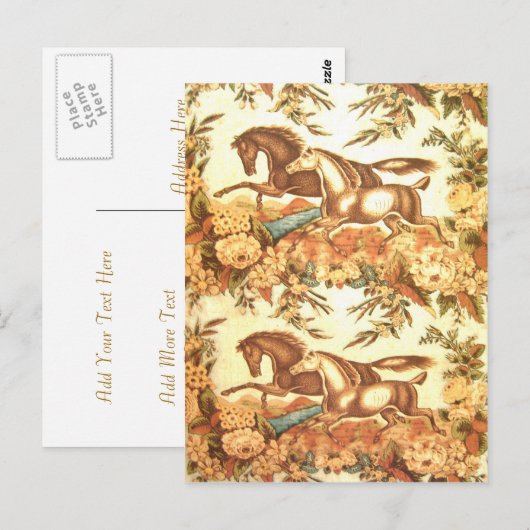  paard Briefkaart 3 (Voorkant / Achterkant)