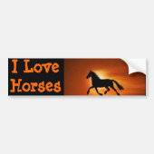 paard bumpersticker (Voorkant)