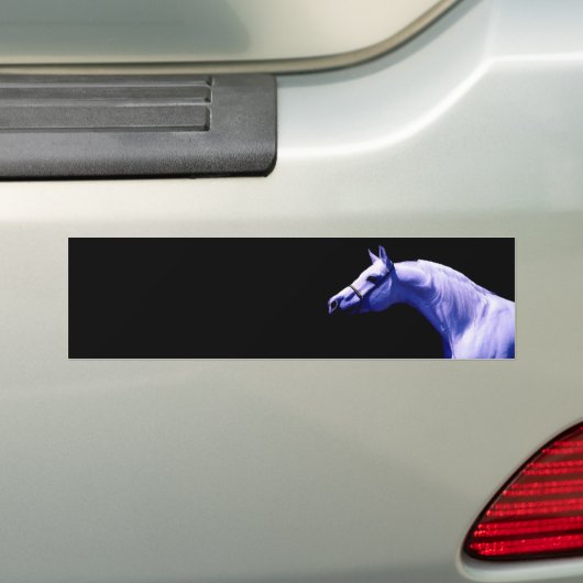 Paard Bumpersticker (Op auto)