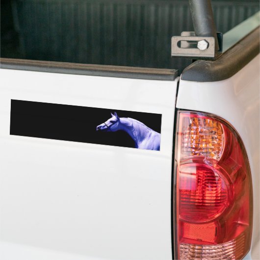 Paard Bumpersticker (Op Truck)
