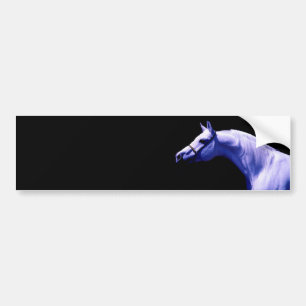 Paard Bumpersticker