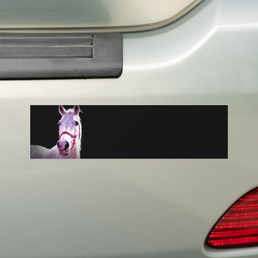 Paard Bumpersticker (Op auto)
