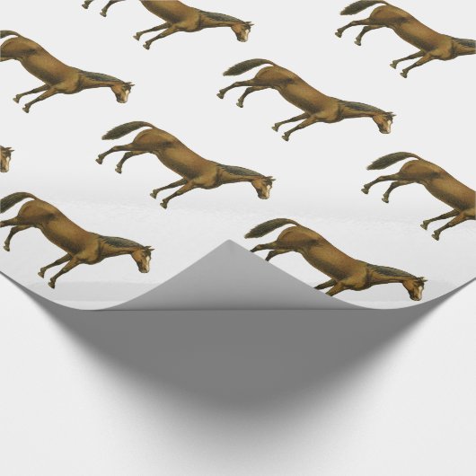  paard cadeaupapier (Hoek)