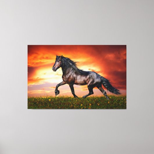 Paard Canvas Afdruk (Voorkant)