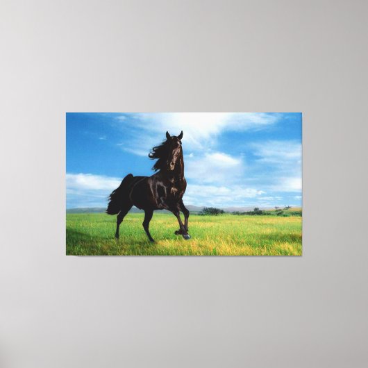 Paard Canvas Afdruk (Voorkant)