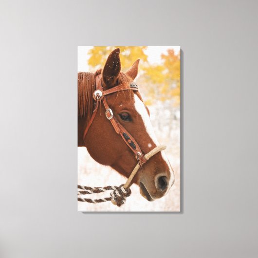 Paard Canvas Afdruk (Voorkant)