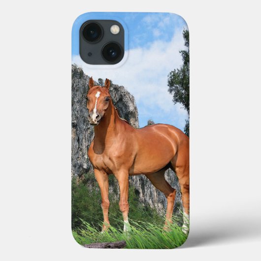 Paard Case-Mate iPhone Case (Achterkant)