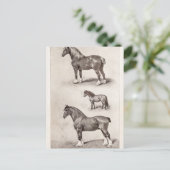  paard Clydesdale Shetland Belgium Paarden Briefkaart (Staand voorkant)