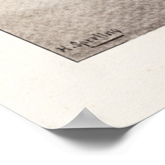  paard Clydesdale Shetland Belgium Paarden Poster (Hoek)