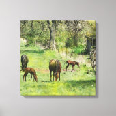 Paard & Colts in de wei - Square Canvas Art (Voorkant)