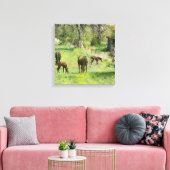 Paard & Colts in de wei - Square Canvas Art (Insitu (Woonkamer))