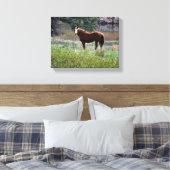 Paard dat achterom kijkt canvas afdruk (Insitu (Slaapkamer))