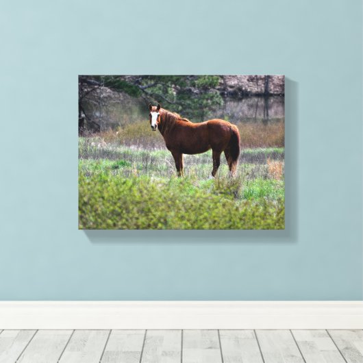Paard dat achterom kijkt canvas afdruk (Insitu (Houten vloer))