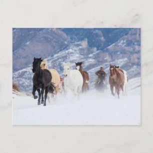 Paard dat door de sneeuw rent briefkaart