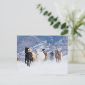 Paard dat door de sneeuw rent briefkaart (Staand voorkant)
