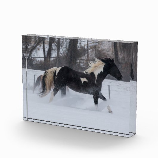 Paard dat door de sneeuw rent fotoblokken (Rechts)