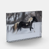 Paard dat door de sneeuw rent fotoblokken (Links)