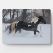 Paard dat door de sneeuw rent fotoplaat (voorkant)