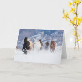 Paard dat door de sneeuw rent kaart (Gele Bloem)