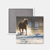 Paard dat door de sneeuw rent magneet (Voorkant / Achterkant)