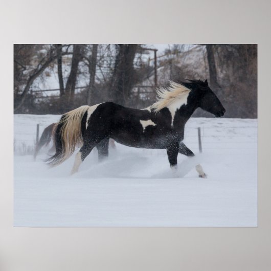 Paard dat door de sneeuw rent poster (Voorkant)