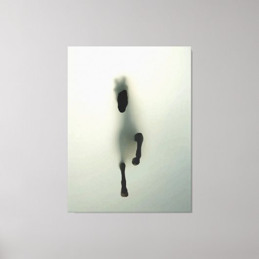 Paard dat door mist breekt canvas afdruk (Voorkant)